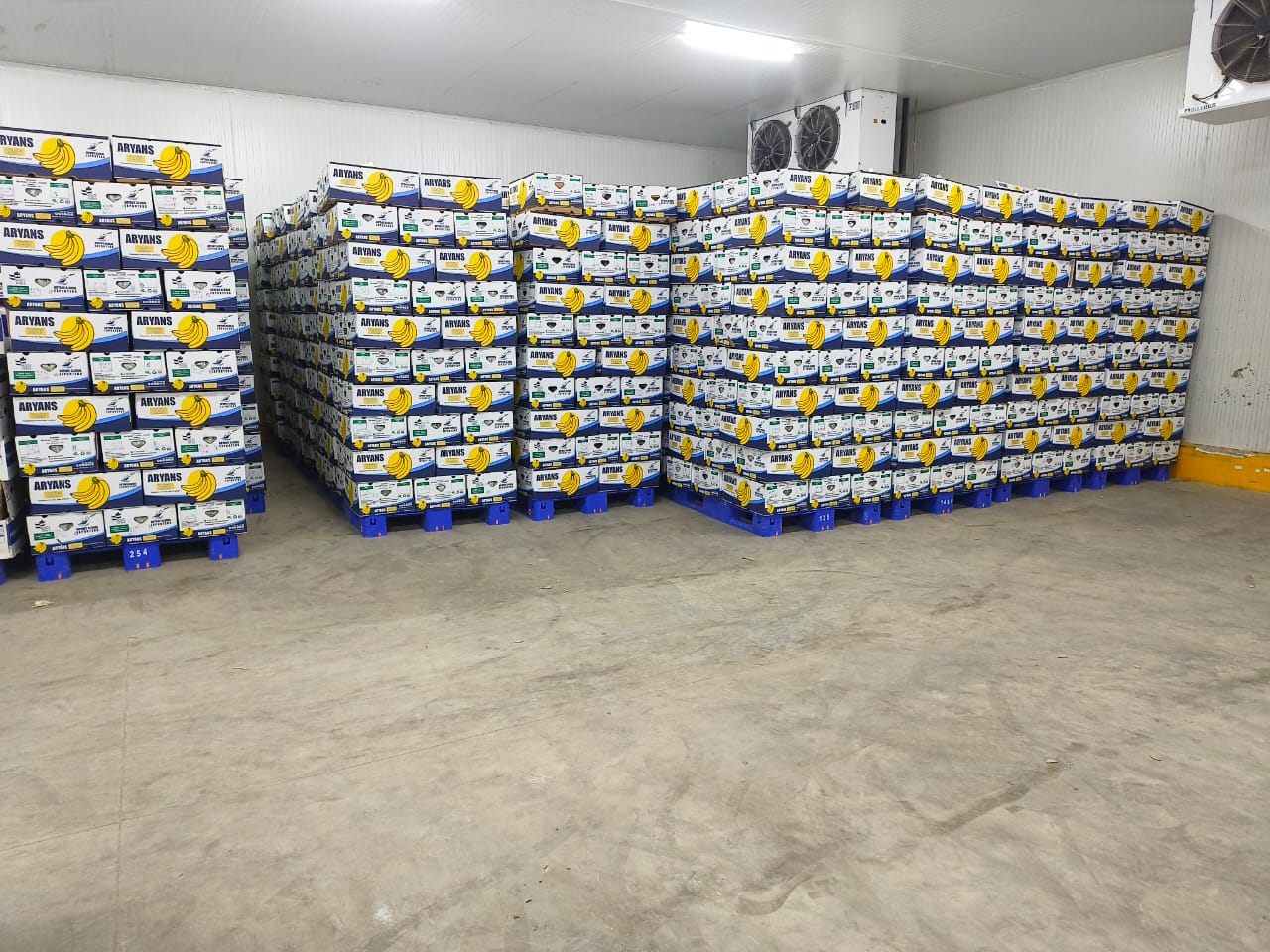 Pre-Cooling Cold Storage Facility for fresh produce